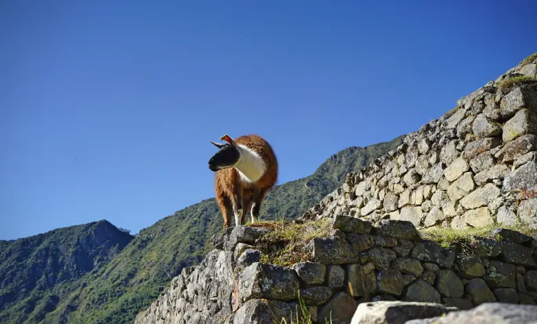 Interesting Facts About Machu Picchu