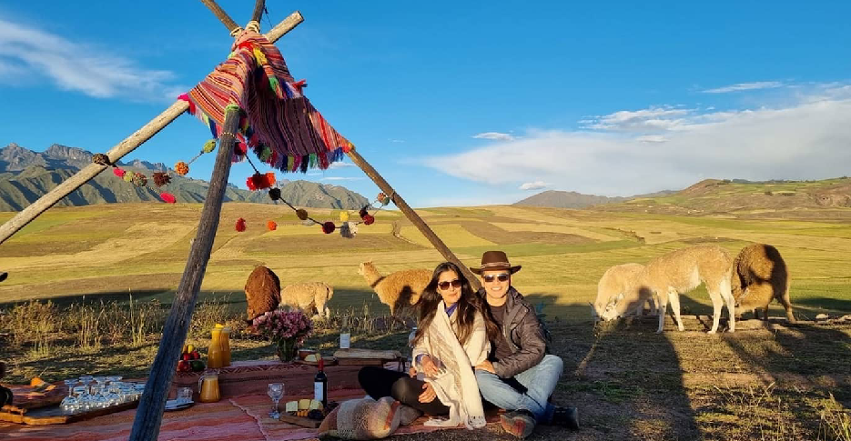 a-couple-of-tourists-having-picnic-with-llamas-in-maras-moray
