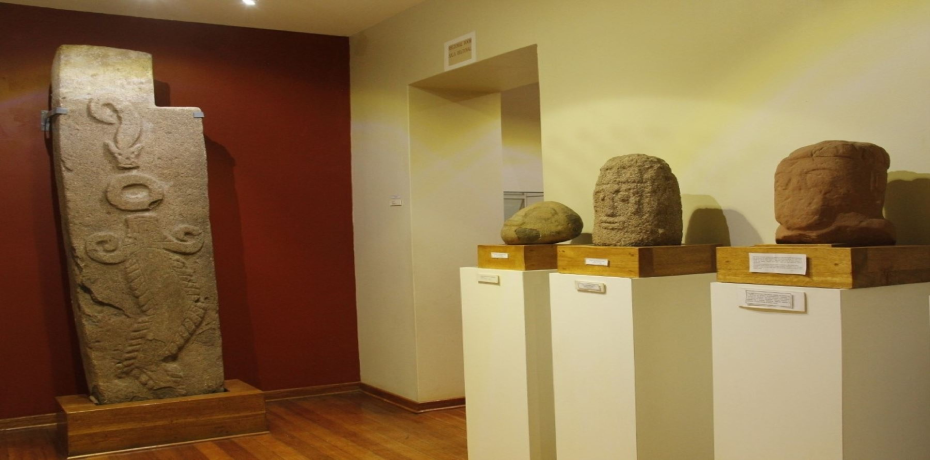 carlos-dreyer-museum