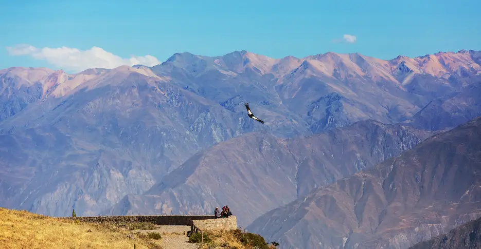 mirador-cruz-del-condor