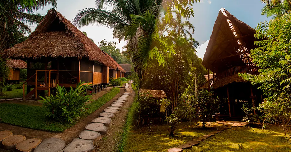 Which to choose: Rainforest Expedition or Rainforest Expedition in Tambopata Amazon Rainforest?