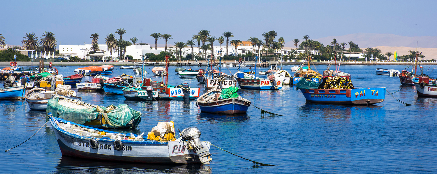 Colonial Lima, Huacachina and Machu Picchu