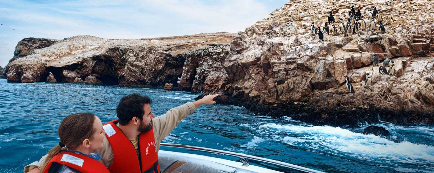 ballestas island tour from paracas