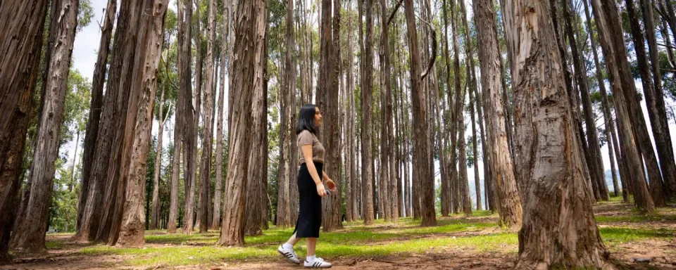 Connect with nature in Qenqo.