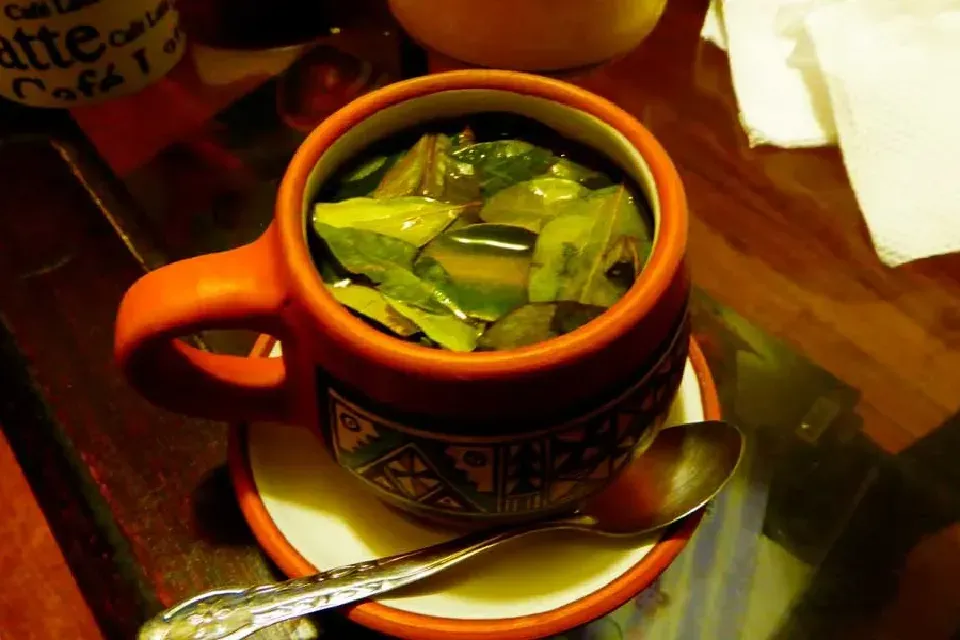 How to Prepare Coca Tea in Peru Coca leaves steeping in hot water to prepare traditional Peruvian coca tea.