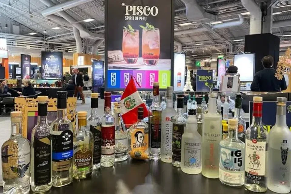Where to Buy Pisco in Lima, Peru Selection of Peruvian pisco bottles displayed on shelves at a liquor store in Lima, Peru.