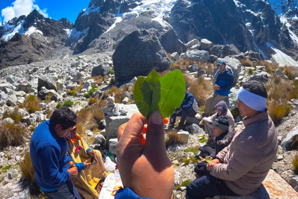 Coca Leaves and Andean Cultural Traditions