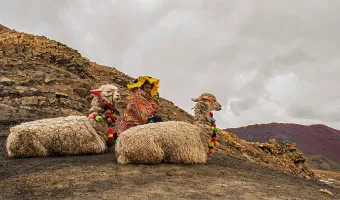 Rainbow mountain ATV