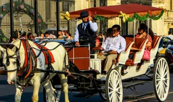 Horse carriage city tour in Lima.