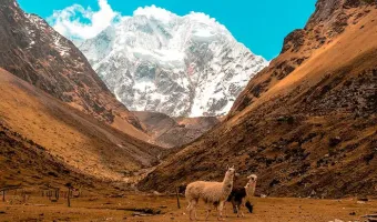 Salkantay Hiking 5d