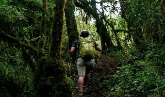 Hiker walking through the cloud forest on the Salkantay Trek in Peru