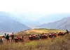 Maras, moray and salineras by quad bike