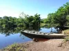 Amazon River