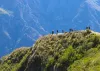 Condor-Canyon-in-Cusco