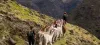 Lares Valley Trek to Machu Picchu 4 days