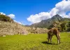 Classic Inca Trail 7 days in cusco peru on the way to machupicchu