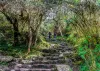 Classic Inca Trail 7 days in Cusco Peru