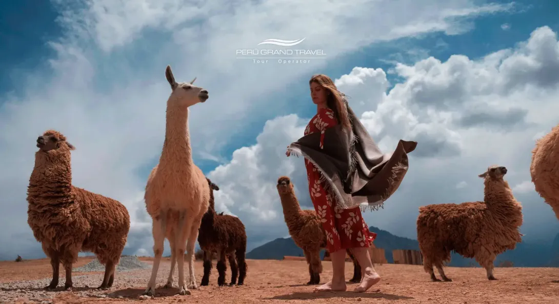 Alpaca-Clothes-Peru