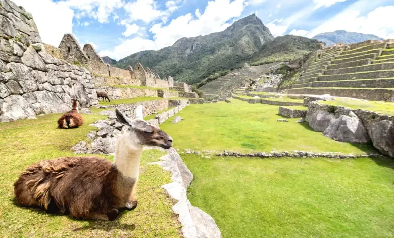 Machu Picchu Cusco