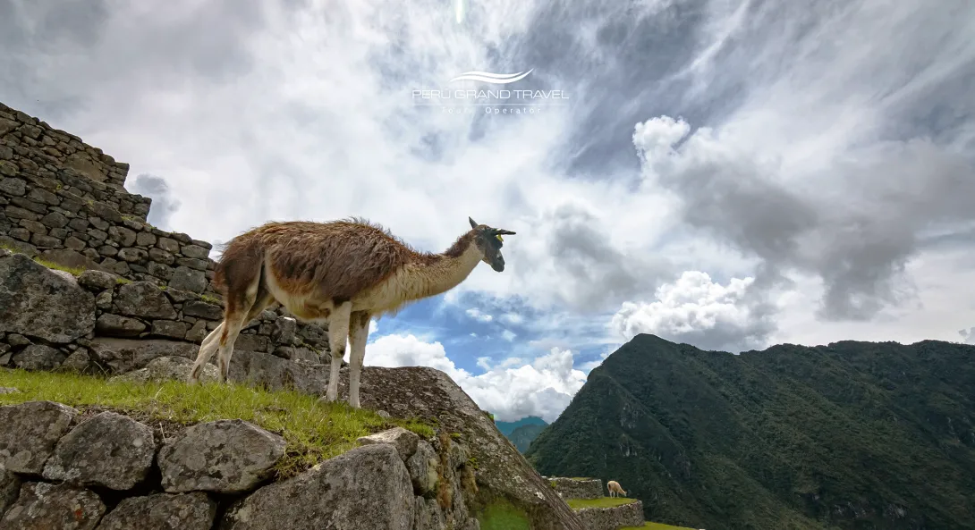 Peru in May