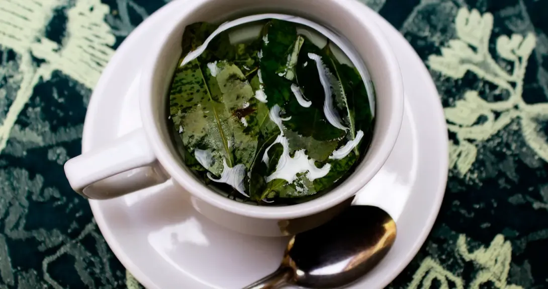 Coca tea, in a white cup with a view of the coca leaves