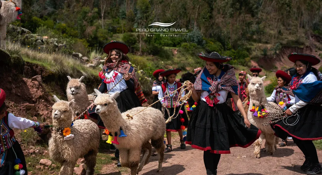 llama-therapy-peru