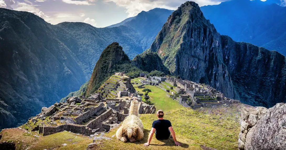 tourist sitting watching machu picchu with a llama