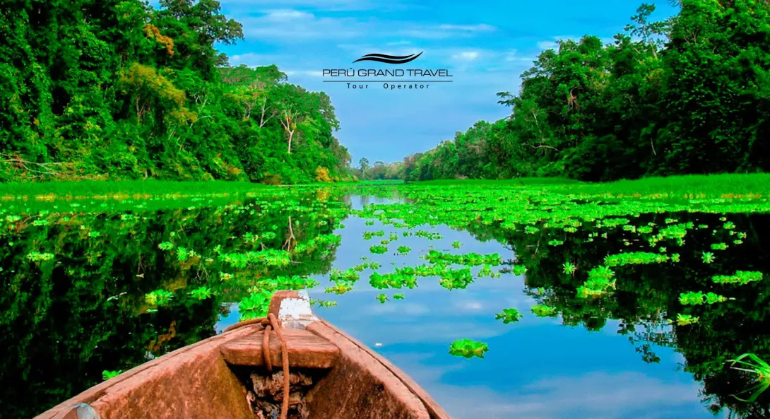 peruvian amazon